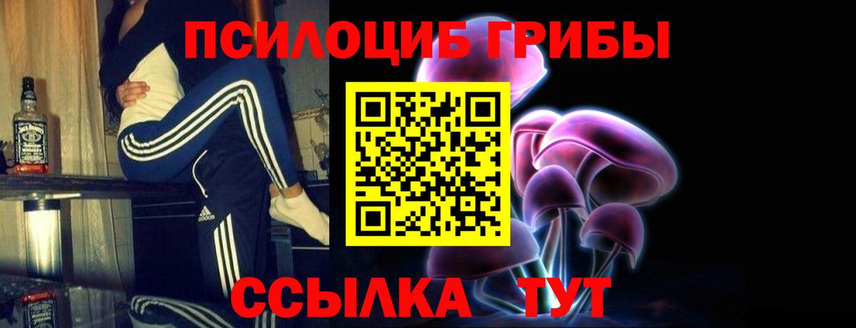 Галлюциногенные грибы мицелий  Галлюциногенные грибы мухоморы  Энгельс  купить   Вход с VPN 
